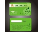 Magnetic stripe card